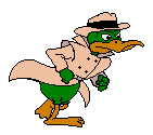 duck  detective