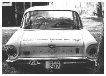 The back of my Falcon 61