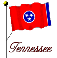 Tennessee State Flag
