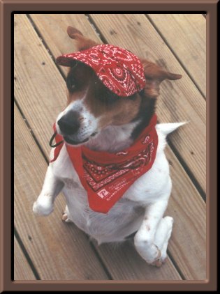 Lucy's Picture