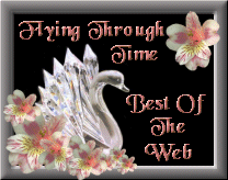 Flying Thru Time Award