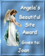 Angela's Beautiful Site Award