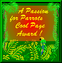 passion for parrots